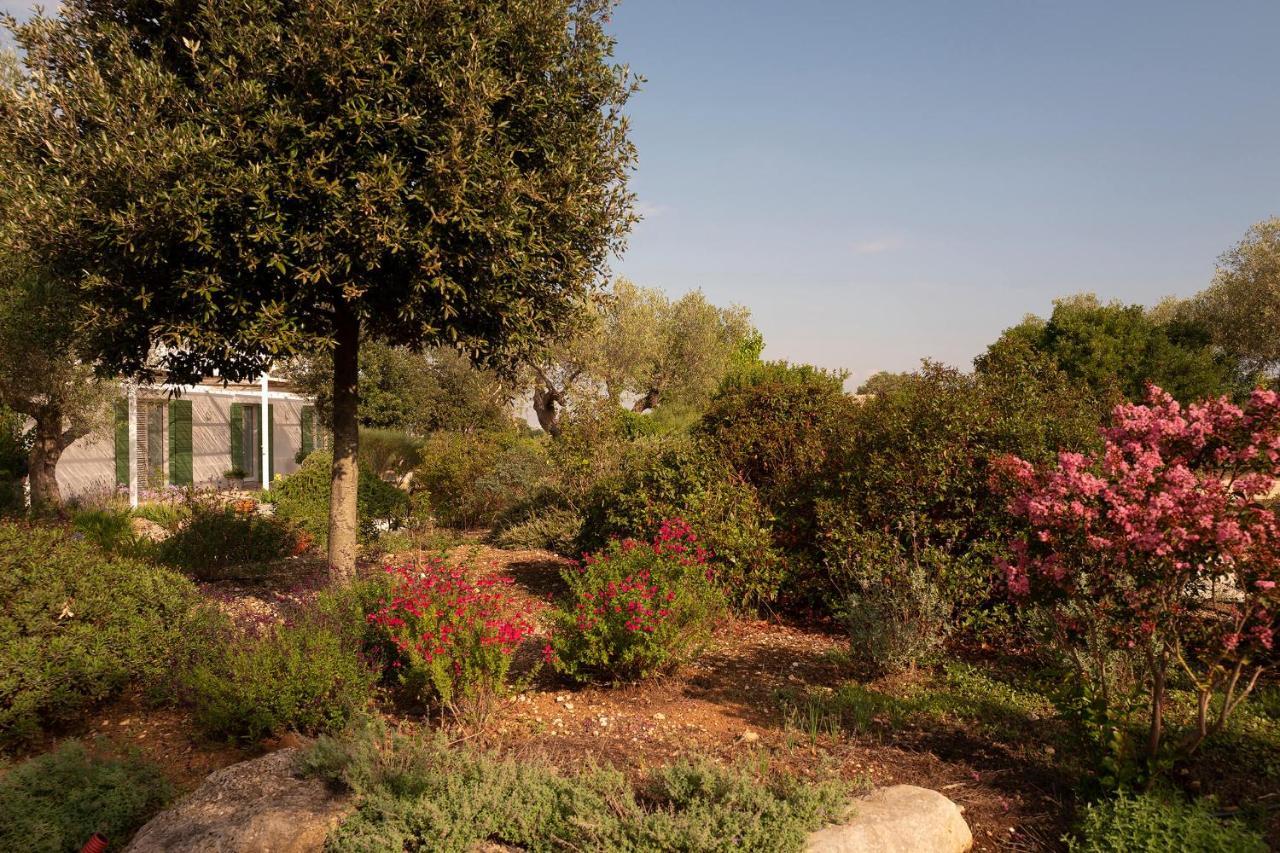Agriturismo La Civetta Gioia Del Colle Eksteriør bilde